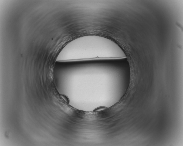 X0000103130240200808221048