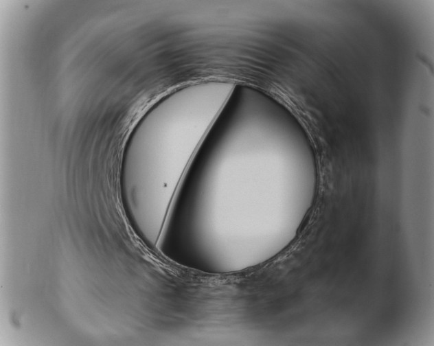 X0000103130241200808221048