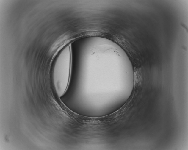 X0000103130243200808221048