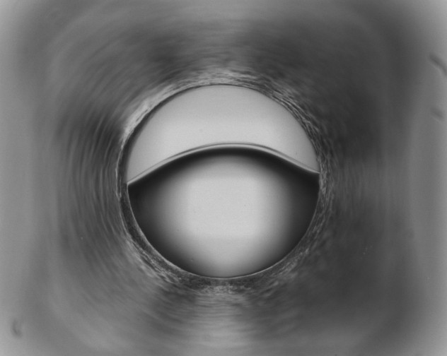 X0000103130244200808221048