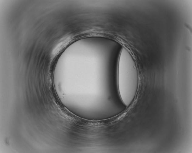 X0000103130245200808221048