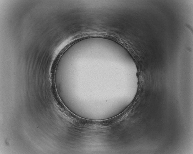 X0000103130246200808221048