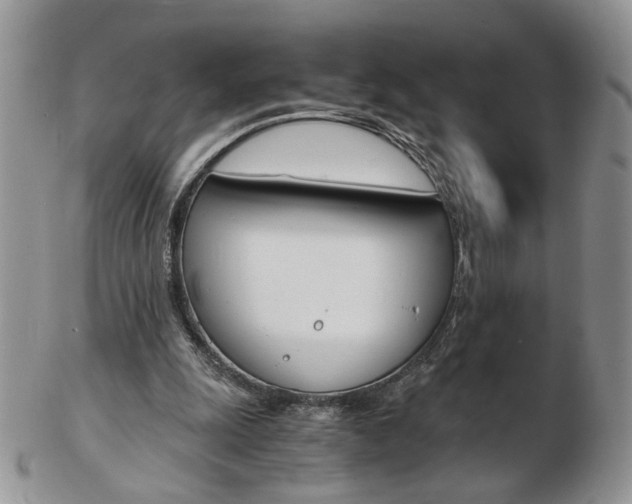 X0000103130247200808221048
