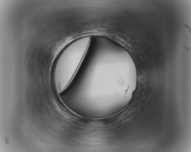 X0000103130248200808221048
