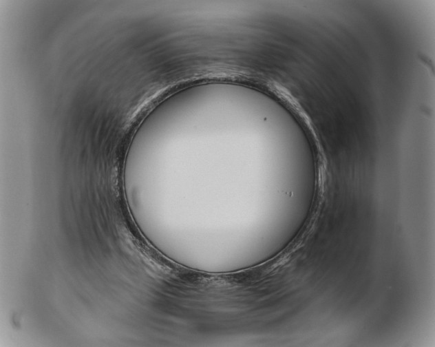 X0000103130249200808221048