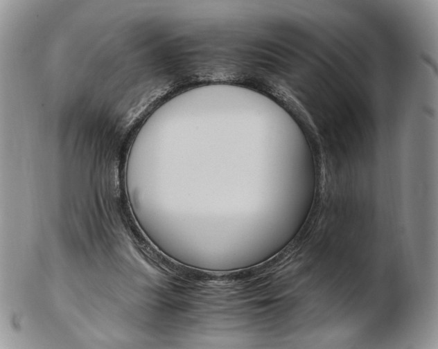 X0000103130251200808221048