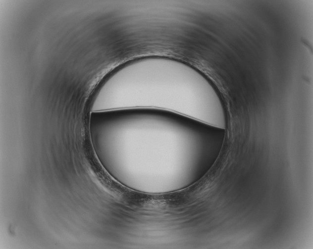 X0000103130252200808221048