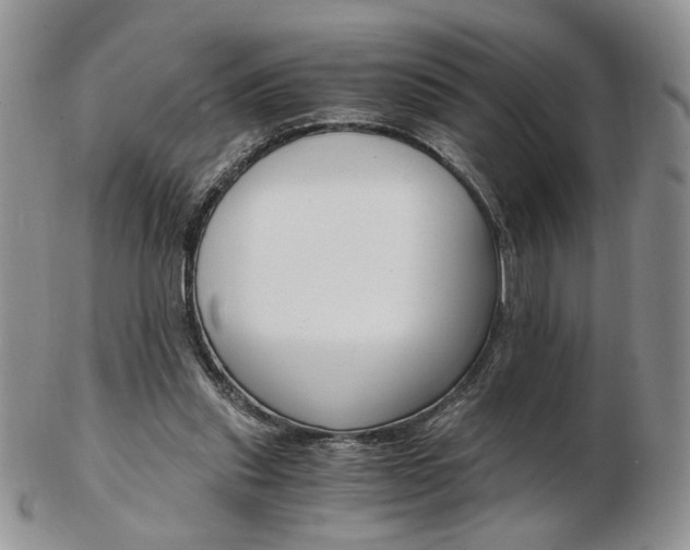 X0000103130253200808221048