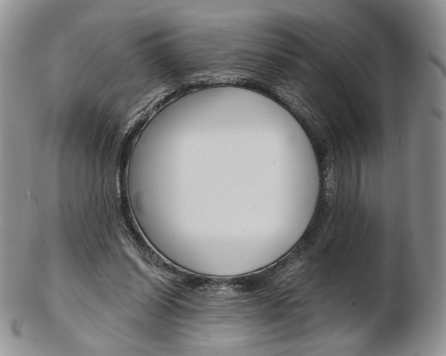 X0000103130254200808221048