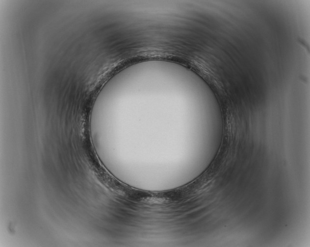 X0000103130255200808221048
