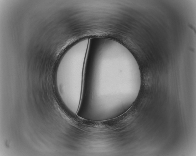 X0000103130256200808221048