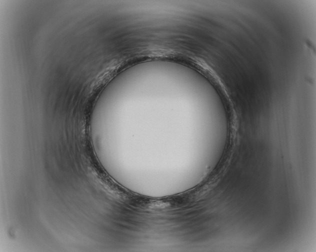 X0000103130257200808221048