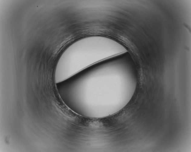 X0000103130258200808221048
