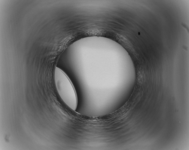 X0000103130259200808221048