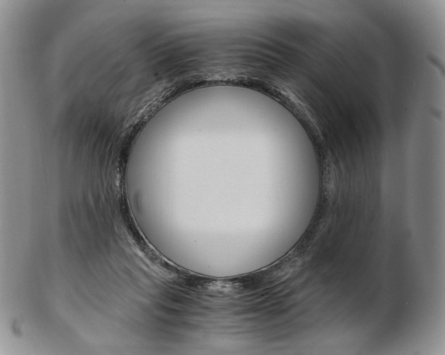 X0000103130261200808221048