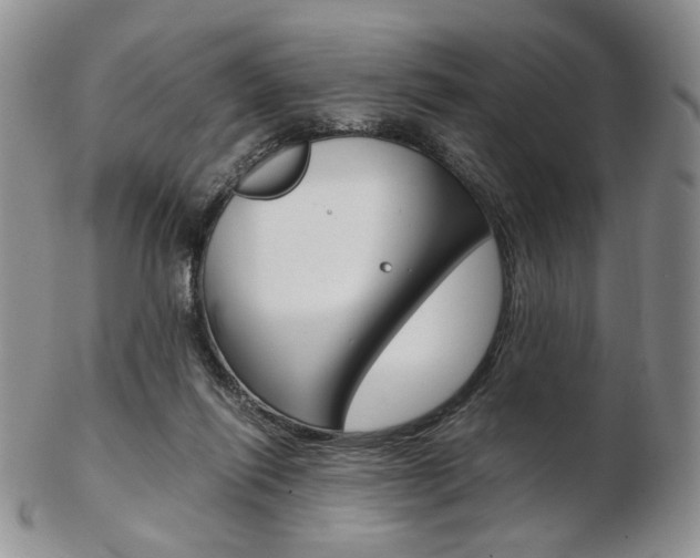 X0000103130262200808221048
