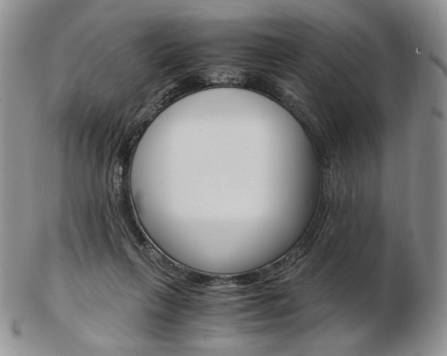 X0000103130263200808221048