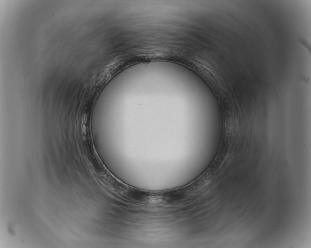 X0000103130264200808221048