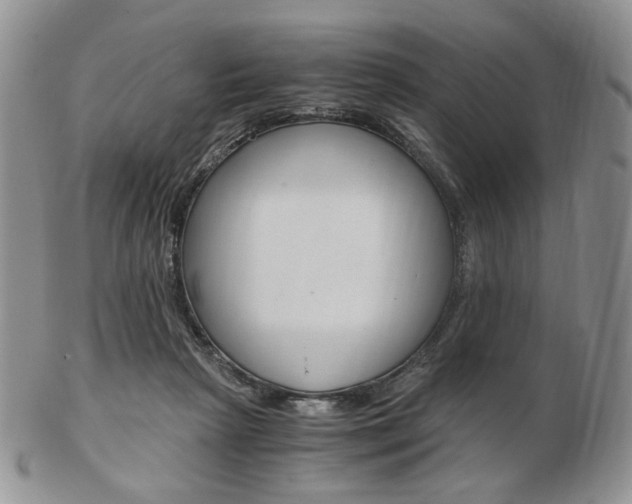 X0000103130265200808221048