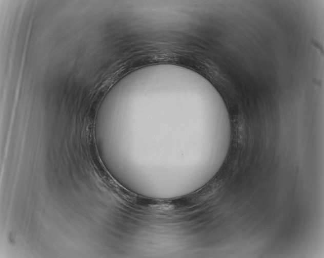X0000103130266200808221048