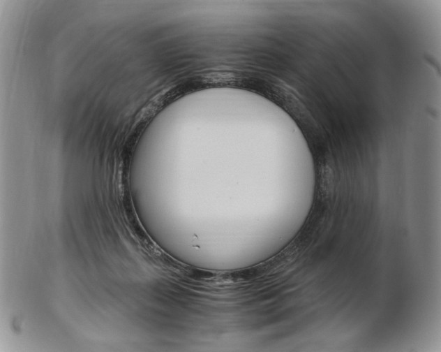 X0000103130267200808221048