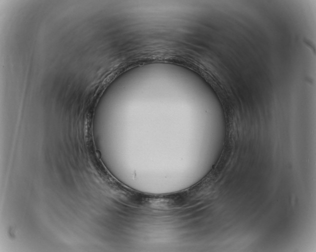 X0000103130268200808221048