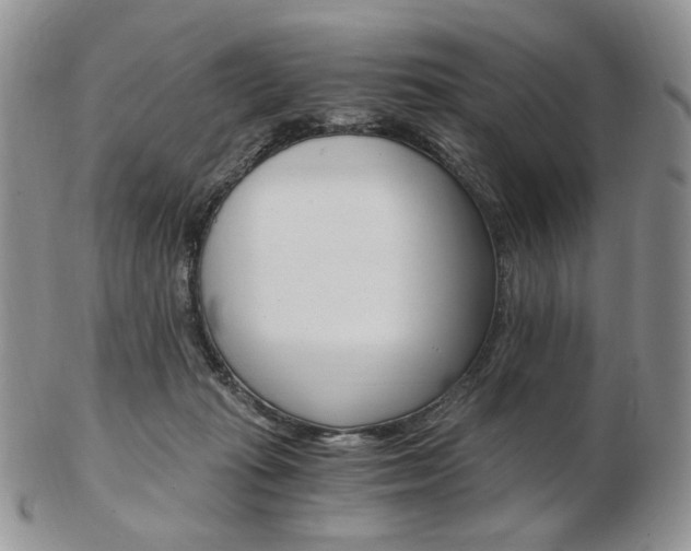 X0000103130269200808221048