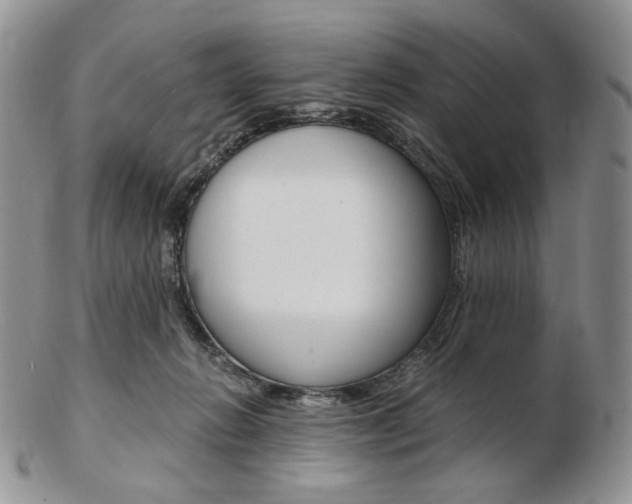 X0000103130270200808221048
