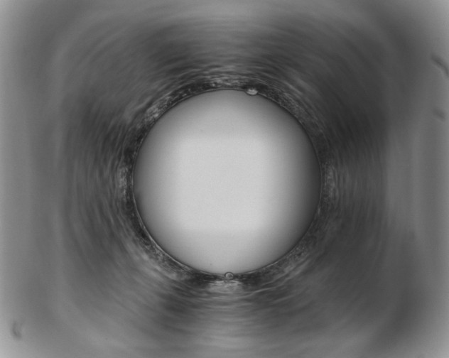 X0000103130271200808221048