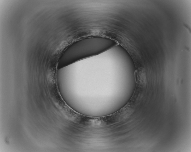 X0000103130272200808221048