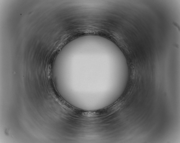 X0000103130273200808221048