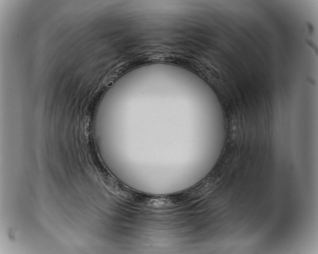 X0000103130275200808221048