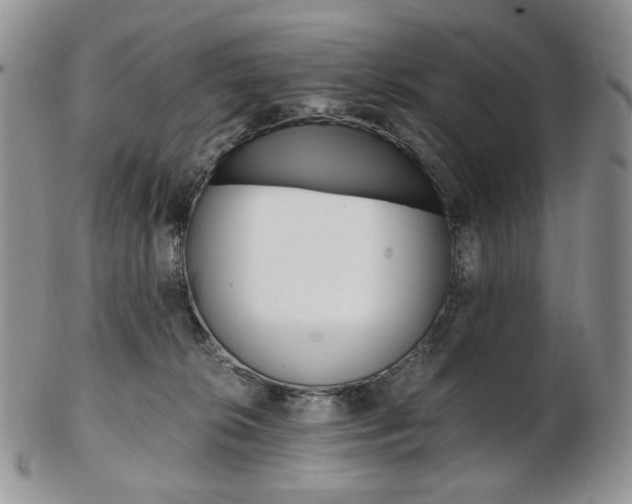 X0000103130276200808221048