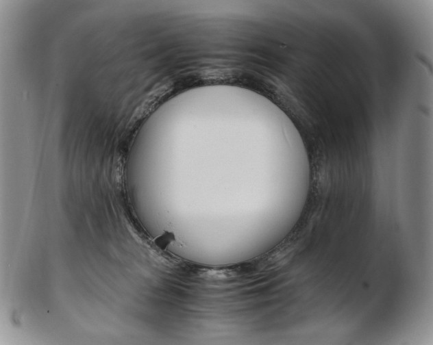 X0000103130277200808221048