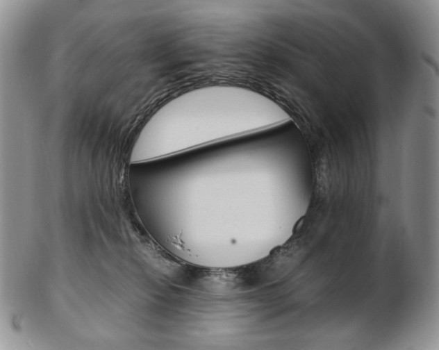 X0000103130278200808221048