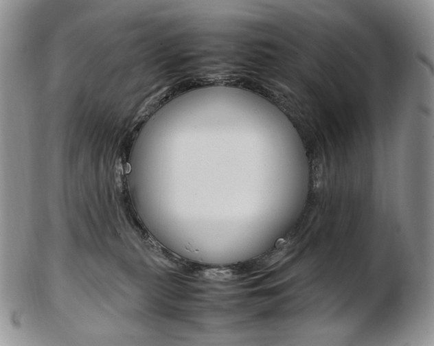X0000103130279200808221048