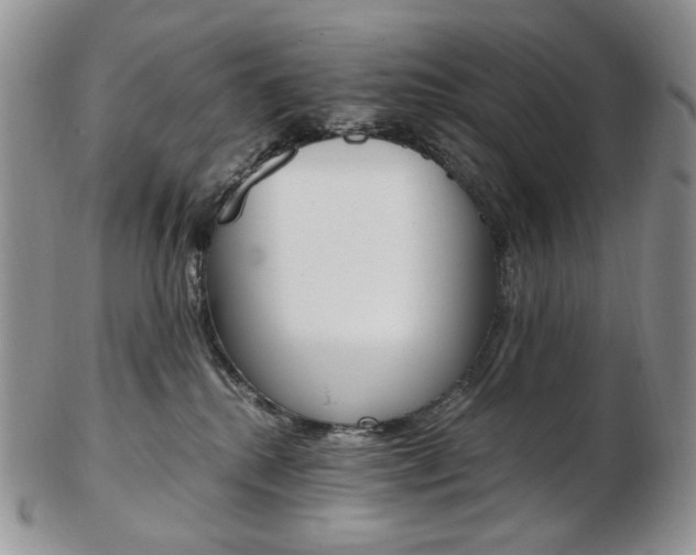 X0000103130280200808221048