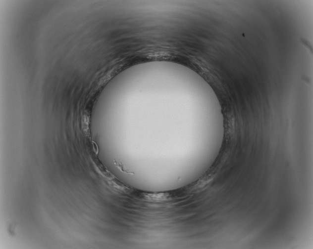 X0000103130281200808221048