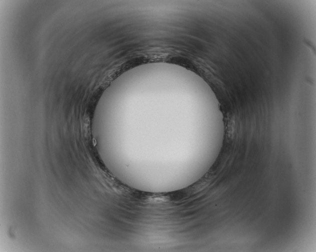 X0000103130283200808221048
