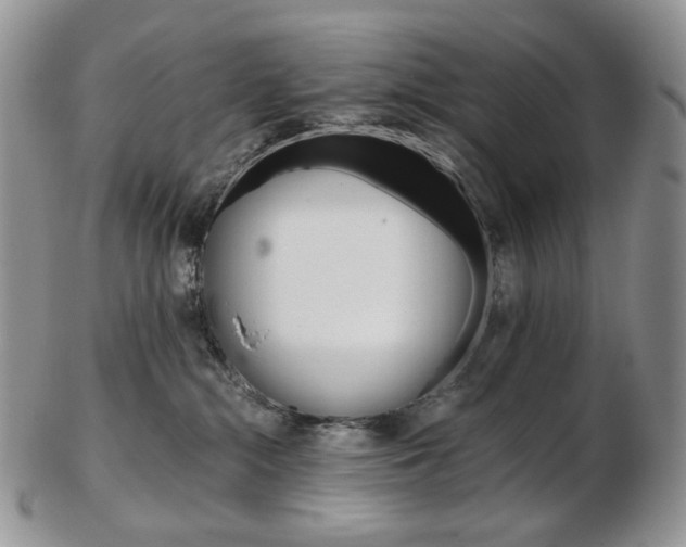 X0000103130284200808221048
