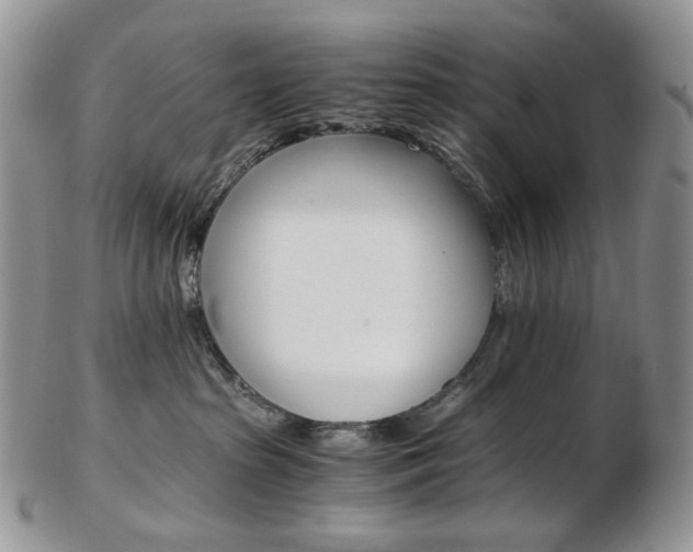X0000103130285200808221048