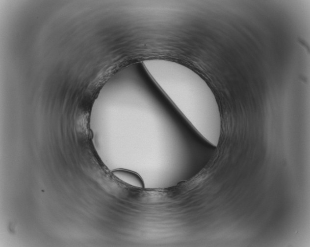 X0000103130286200808221048