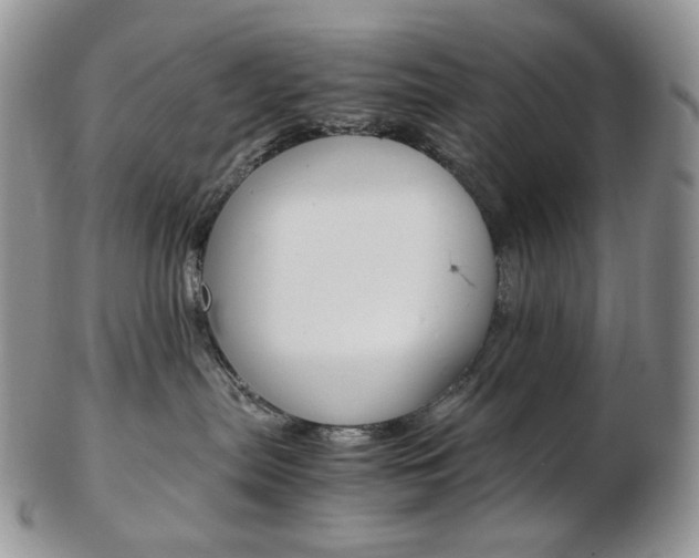 X0000103130287200808221048