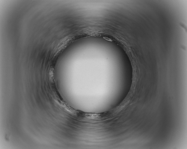X0000103130288200808221048