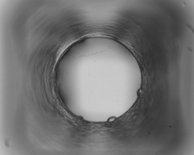 X0000103130289200808221048