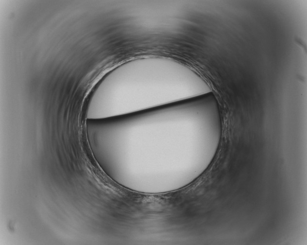 X0000103130290200808221048