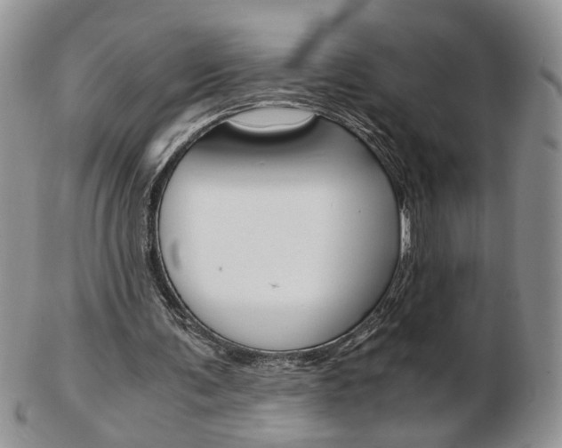 X0000103130291200808221048
