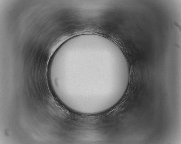 X0000103130292200808221048