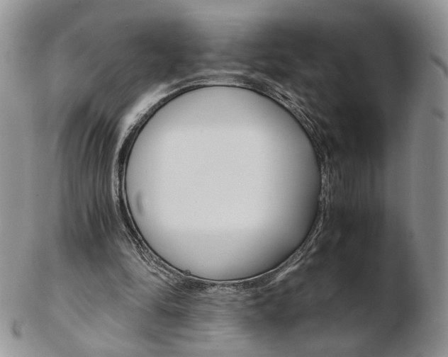 X0000103130294200808221048
