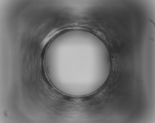 X0000103130295200808221048